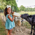 The Positive Impact of Businesses on the Community of Richmond, KY